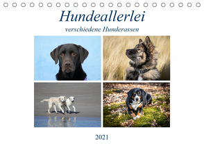 Hundeallerlei (Tischkalender 2021 DIN A5 quer) von SchnelleWelten