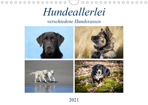 Hundeallerlei (Wandkalender 2021 DIN A4 quer) von SchnelleWelten