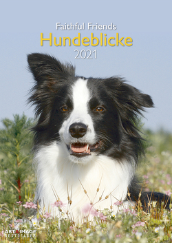 Hundeblicke 2021 – Wand-Kalender – Tier-Kalender – A&I – 29,7×42