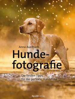 Hundefotografie von Auerbach,  Anna