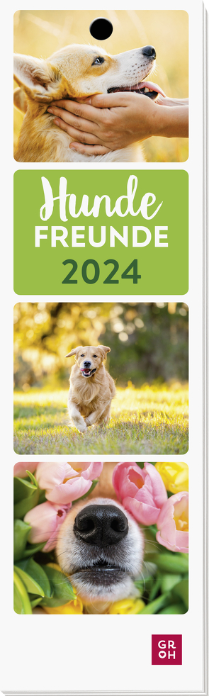 Hundefreunde 2024 von Groh Verlag