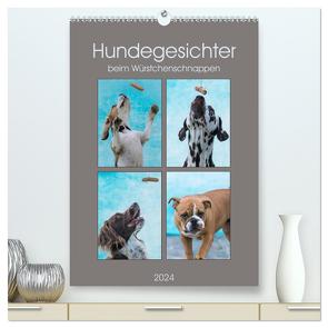 Hundegesichter beim Würstchenschnappen (hochwertiger Premium Wandkalender 2024 DIN A2 hoch), Kunstdruck in Hochglanz von Teßen,  Sonja