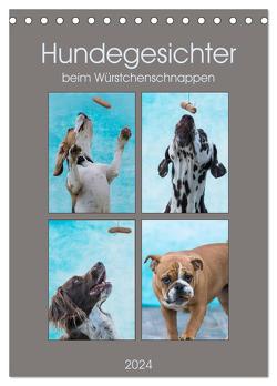 Hundegesichter beim Würstchenschnappen (Tischkalender 2024 DIN A5 hoch), CALVENDO Monatskalender von Teßen,  Sonja