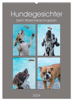 Hundegesichter beim Würstchenschnappen (Wandkalender 2024 DIN A2 hoch), CALVENDO Monatskalender von Teßen,  Sonja
