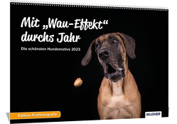 Hundekalender 2023, Mit „Wau-Effekt“ durchs Jahr! Die schönsten Hundemotive und Fotos 2023 von Heuser,  Regine