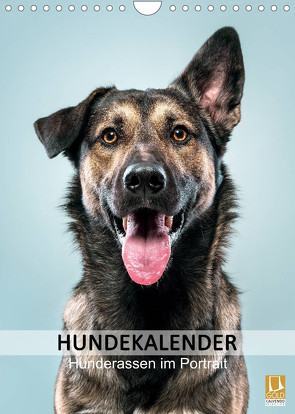 Hundekalender – Hunderassen im Portrait (Wandkalender 2023 DIN A4 hoch) von Maxi Sängerlaub,  HIGHLIGHT.photo