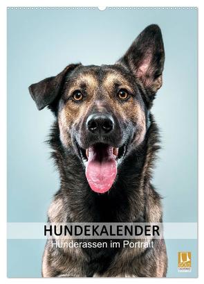 Hundekalender – Hunderassen im Portrait (Wandkalender 2024 DIN A2 hoch), CALVENDO Monatskalender von Maxi Sängerlaub,  HIGHLIGHT.photo