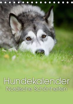 Hundekalender – Nordische Schönheiten (Tischkalender immerwährend DIN A5 hoch) von Noack,  Nicole