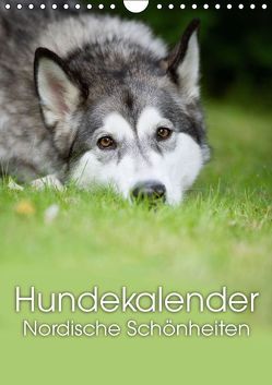 Hundekalender – Nordische Schönheiten (Wandkalender immerwährend DIN A4 hoch) von Noack,  Nicole