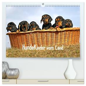Hundekinder vom Land (hochwertiger Premium Wandkalender 2024 DIN A2 quer), Kunstdruck in Hochglanz von Müller,  Beatrice