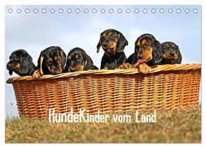 Hundekinder vom Land (Tischkalender 2024 DIN A5 quer), CALVENDO Monatskalender von Müller,  Beatrice