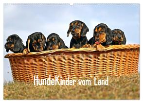 Hundekinder vom Land (Wandkalender 2024 DIN A2 quer), CALVENDO Monatskalender von Müller,  Beatrice