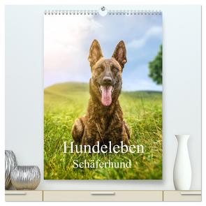 Hundeleben Schäferhund (hochwertiger Premium Wandkalender 2024 DIN A2 hoch), Kunstdruck in Hochglanz von Schuberts-Fotografie,  Schuberts-Fotografie