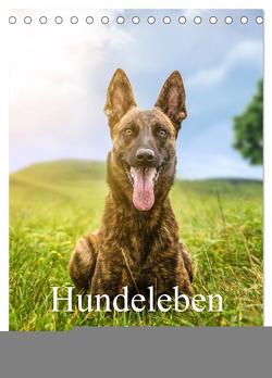Hundeleben Schäferhund (Tischkalender 2024 DIN A5 hoch), CALVENDO Monatskalender von Schuberts-Fotografie,  Schuberts-Fotografie