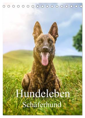 Hundeleben Schäferhund (Tischkalender 2024 DIN A5 hoch), CALVENDO Monatskalender von Schuberts-Fotografie,  Schuberts-Fotografie