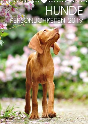 Hundepersönlichkeiten (Wandkalender 2019 DIN A3 hoch) von dogARTig