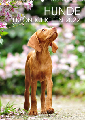 Hundepersönlichkeiten (Wandkalender 2022 DIN A2 hoch) von dogARTig