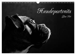 Hundeportraits Fine Art (Wandkalender 2024 DIN A3 quer), CALVENDO Monatskalender von Behr,  Jana