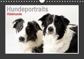 Hundeportraits – Hütehunde (Wandkalender 2019 DIN A4 quer) von Hahn,  Jasmin