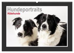 Hundeportraits – Hütehunde (Wandkalender 2024 DIN A2 quer), CALVENDO Monatskalender von Hahn,  Jasmin