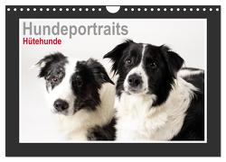 Hundeportraits – Hütehunde (Wandkalender 2024 DIN A4 quer), CALVENDO Monatskalender von Hahn,  Jasmin