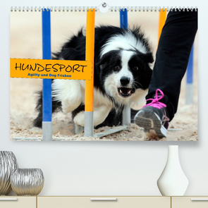 HUNDESPORT – Agility und Dog Frisbee (Premium, hochwertiger DIN A2 Wandkalender 2023, Kunstdruck in Hochglanz) von Rähse,  Constanze