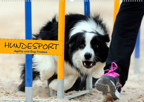 HUNDESPORT – Agility und Dog Frisbee (Wandkalender 2022 DIN A2 quer) von Rähse,  Constanze