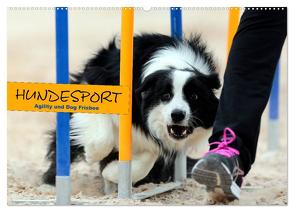 HUNDESPORT – Agility und Dog Frisbee (Wandkalender 2024 DIN A2 quer), CALVENDO Monatskalender von Rähse,  Constanze