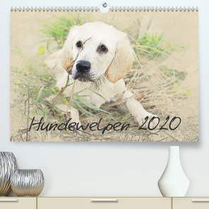 Hundewelpen 2020 (Premium, hochwertiger DIN A2 Wandkalender 2020, Kunstdruck in Hochglanz) von Redecker,  Andrea