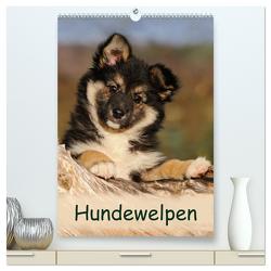 Hundewelpen (hochwertiger Premium Wandkalender 2024 DIN A2 hoch), Kunstdruck in Hochglanz von Menden,  Katho