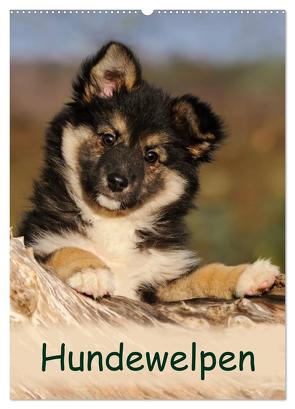 Hundewelpen (Wandkalender 2024 DIN A2 hoch), CALVENDO Monatskalender von Menden,  Katho