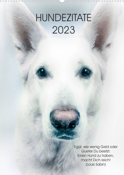 Hundezitate 2023 (Wandkalender 2023 DIN A2 hoch) von dogmoves