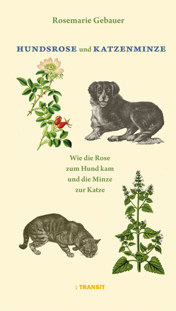 Hundsrose und Katzenminze von Gebauer,  Rosemarie
