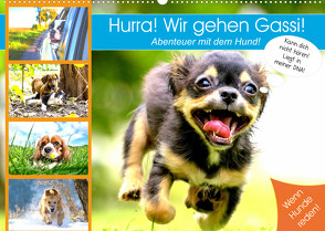 Hurra! Wir gehen Gassi! Abenteuer mit dem Hund! (Wandkalender 2023 DIN A2 quer) von Hurley,  Rose