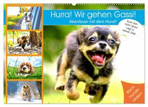 Hurra! Wir gehen Gassi! Abenteuer mit dem Hund! (Wandkalender 2024 DIN A2 quer), CALVENDO Monatskalender von Hurley,  Rose