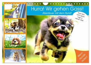 Hurra! Wir gehen Gassi! Abenteuer mit dem Hund! (Wandkalender 2024 DIN A4 quer), CALVENDO Monatskalender von Hurley,  Rose