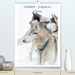 Huskies – Portraits im Schnee (Premium, hochwertiger DIN A2 Wandkalender 2023, Kunstdruck in Hochglanz) von Brunner-Klaus,  Liselotte