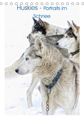 Huskies – Portraits im Schnee (Tischkalender 2023 DIN A5 hoch) von Brunner-Klaus,  Liselotte