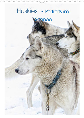 Huskies – Portraits im Schnee (Wandkalender 2022 DIN A3 hoch) von Brunner-Klaus,  Liselotte