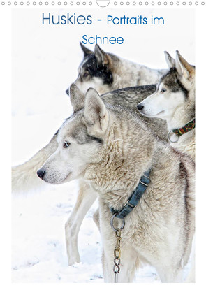 Huskies – Portraits im Schnee (Wandkalender 2023 DIN A3 hoch) von Brunner-Klaus,  Liselotte