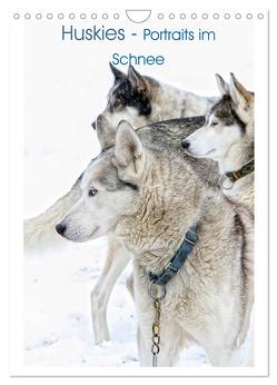 Huskies – Portraits im Schnee (Wandkalender 2024 DIN A4 hoch), CALVENDO Monatskalender von Brunner-Klaus,  Liselotte