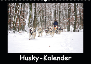 Husky-Kalender (Wandkalender 2020 DIN A2 quer) von andiwolves