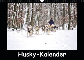 Husky-Kalender (Wandkalender 2020 DIN A3 quer) von andiwolves