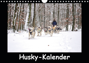 Husky-Kalender (Wandkalender 2020 DIN A4 quer) von andiwolves