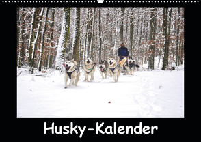 Husky-Kalender (Wandkalender 2021 DIN A2 quer) von andiwolves