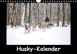 Husky-Kalender (Wandkalender 2021 DIN A4 quer) von andiwolves