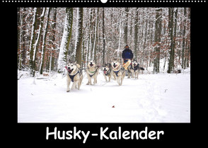 Husky-Kalender (Wandkalender 2022 DIN A2 quer) von andiwolves
