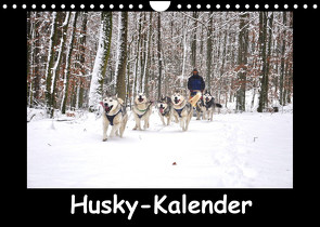 Husky-Kalender (Wandkalender 2022 DIN A4 quer) von andiwolves