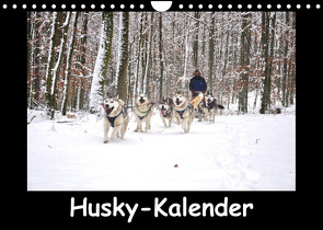 Husky-Kalender (Wandkalender 2023 DIN A4 quer) von andiwolves
