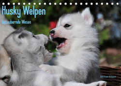 Husky Welpen (Tischkalender 2023 DIN A5 quer) von Ebardt,  Michael